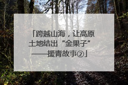 跨越山海，让高原土地结出“金果子”——援青故事②