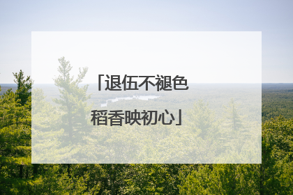 退伍不褪色 稻香映初心