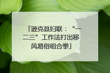逊克县妇联：“一二三”工作法打出移风易俗组合拳