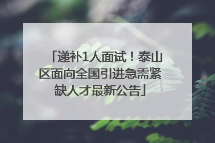 递补1人面试！泰山区面向全国引进急需紧缺人才最新公告