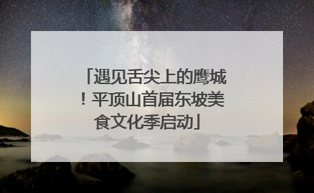 遇见舌尖上的鹰城！平顶山首届东坡美食文化季启动