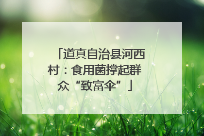 道真自治县河西村：食用菌撑起群众“致富伞”
