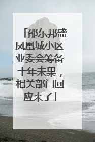 邵东邦盛凤凰城小区业委会筹备十年未果，相关部门回应来了