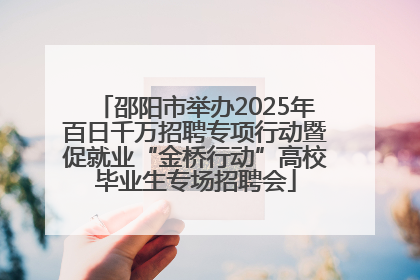 邵阳市举办2025年百日千万招聘专项行动暨促就业“金桥行动”高校毕业生专场招聘会