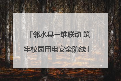邻水县三维联动 筑牢校园用电安全防线