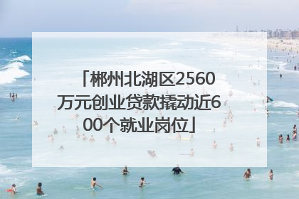 郴州北湖区2560万元创业贷款撬动近600个就业岗位