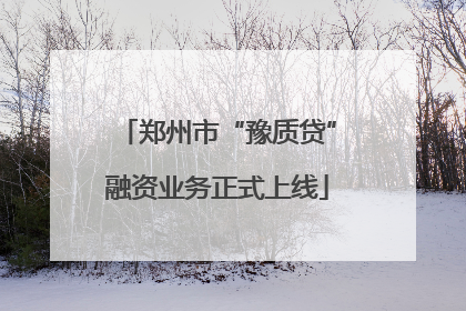 郑州市“豫质贷”融资业务正式上线