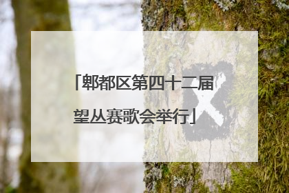 郫都区第四十二届望丛赛歌会举行