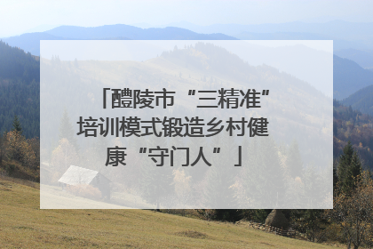 醴陵市“三精准”培训模式锻造乡村健康“守门人”