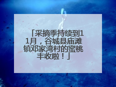 采摘季持续到11月，谷城县庙滩镇邓家湾村的蜜桃丰收啦！