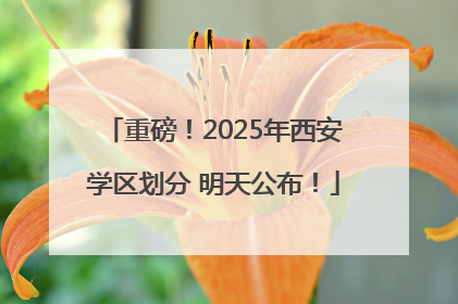 重磅！2025年西安学区划分 明天公布！