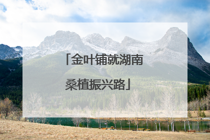 金叶铺就湖南桑植振兴路