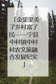 金果果美了乡村富了民——宁县中村镇中村村农文旅融合发展纪实