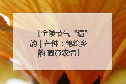 金陵节气“遗”韵｜芒种：笔绘乡韵 画意农情
