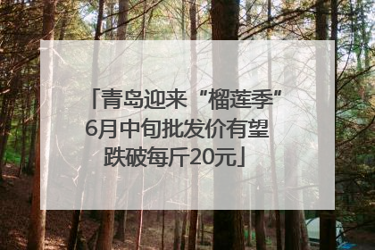 青岛迎来“榴莲季” 6月中旬批发价有望跌破每斤20元