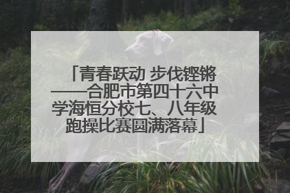青春跃动 步伐铿锵——合肥市第四十六中学海恒分校七、八年级跑操比赛圆满落幕