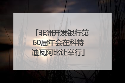 非洲开发银行第60届年会在科特迪瓦阿比让举行