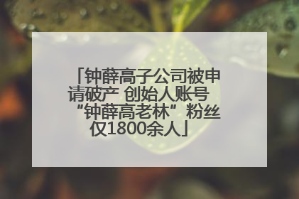 钟薛高子公司被申请破产 创始人账号“钟薛高老林”粉丝仅1800余人
