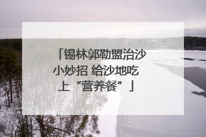 锡林郭勒盟治沙小妙招 给沙地吃上“营养餐”