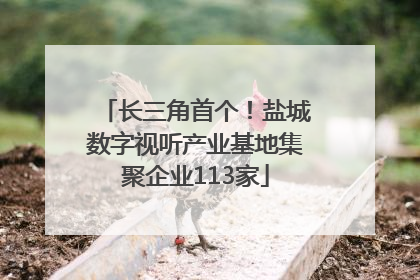 长三角首个！盐城数字视听产业基地集聚企业113家