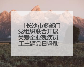 长沙市多部门党组织联合开展关爱企业残疾员工主题党日暨助残日特别活动