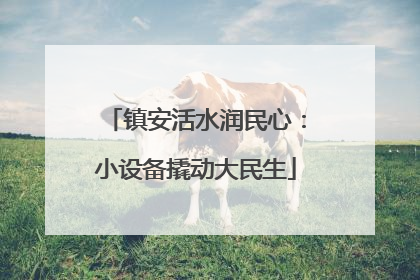 镇安活水润民心：小设备撬动大民生
