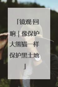 镜观·回响｜像保护大熊猫一样保护黑土地