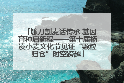 镰刀割麦话传承 基因育种启新程——第十届杨凌小麦文化节见证“颗粒归仓”时空跨越