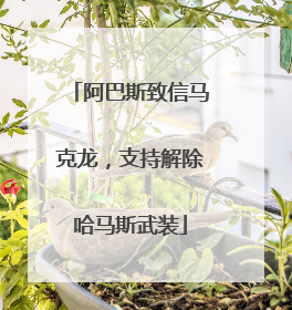 阿巴斯致信马克龙，支持解除哈马斯武装