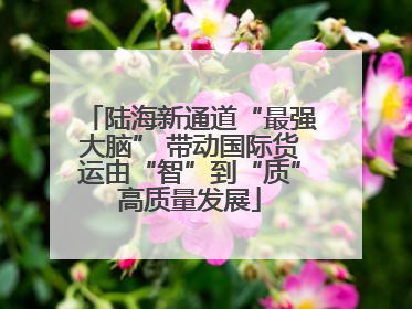 陆海新通道“最强大脑” 带动国际货运由“智”到“质”高质量发展
