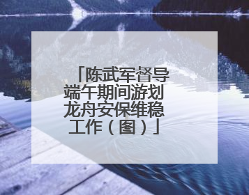 陈武军督导端午期间游划龙舟安保维稳工作（图）
