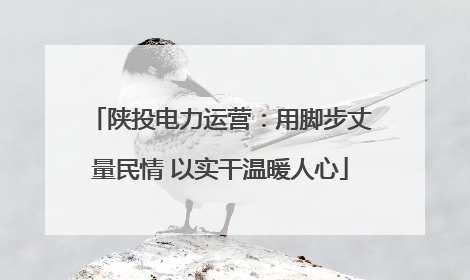 陕投电力运营：用脚步丈量民情 以实干温暖人心