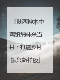 陕西神木中鸡镇纳林采当村：打造乡村振兴新样板