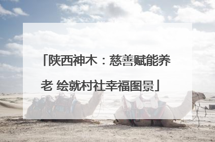 陕西神木：慈善赋能养老 绘就村社幸福图景