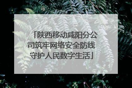 陕西移动咸阳分公司筑牢网络安全防线守护人民数字生活