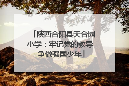陕西合阳县天合园小学：牢记党的教导 争做强国少年