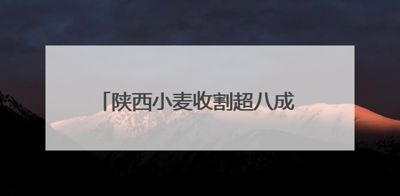 陕西小麦收割超八成 多措并举确保颗粒归仓