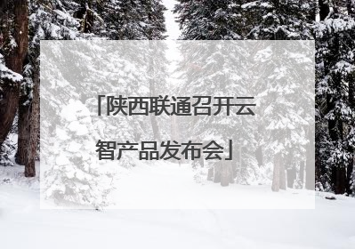 陕西联通召开云智产品发布会