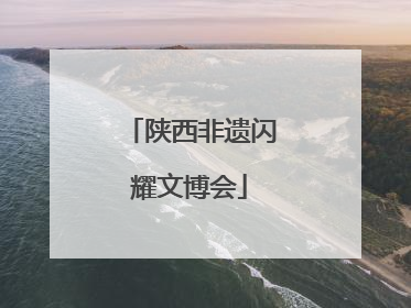 陕西非遗闪耀文博会