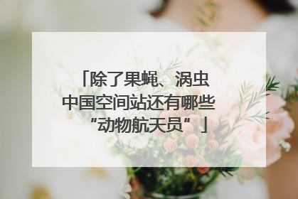 除了果蝇、涡虫 中国空间站还有哪些“动物航天员”