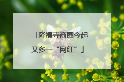 隆福寺商圈今起又多一“网红”
