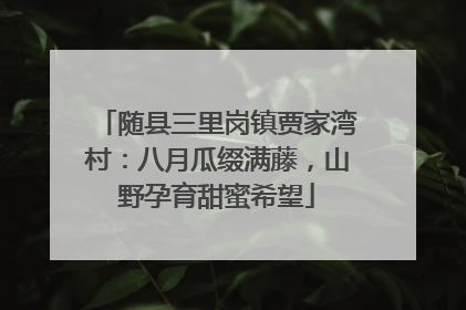 随县三里岗镇贾家湾村：八月瓜缀满藤，山野孕育甜蜜希望