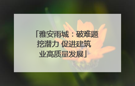 雅安雨城：破难题 挖潜力 促进建筑业高质量发展