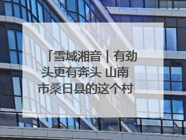 雪域湘音｜有劲头更有奔头 山南市桑日县的这个村落迎来蜕变