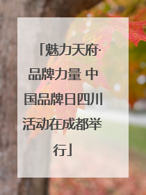 魅力天府·品牌力量 中国品牌日四川活动在成都举行