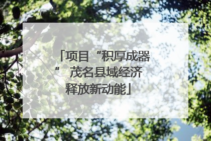 项目“积厚成器” 茂名县域经济释放新动能