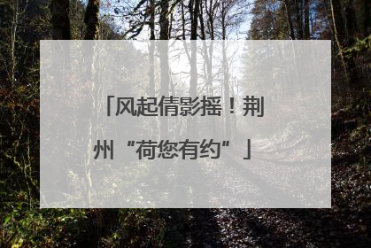 风起倩影摇！荆州“荷您有约”