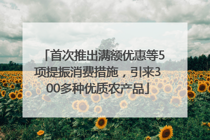 首次推出满额优惠等5项提振消费措施，引来300多种优质农产品