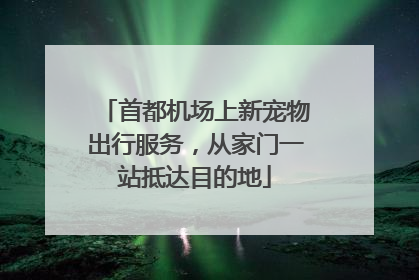 首都机场上新宠物出行服务，从家门一站抵达目的地