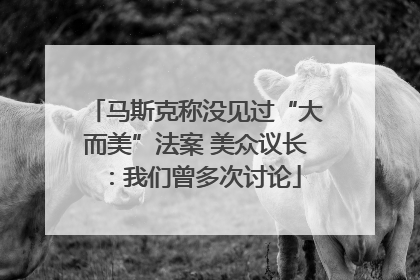 马斯克称没见过“大而美”法案 美众议长：我们曾多次讨论